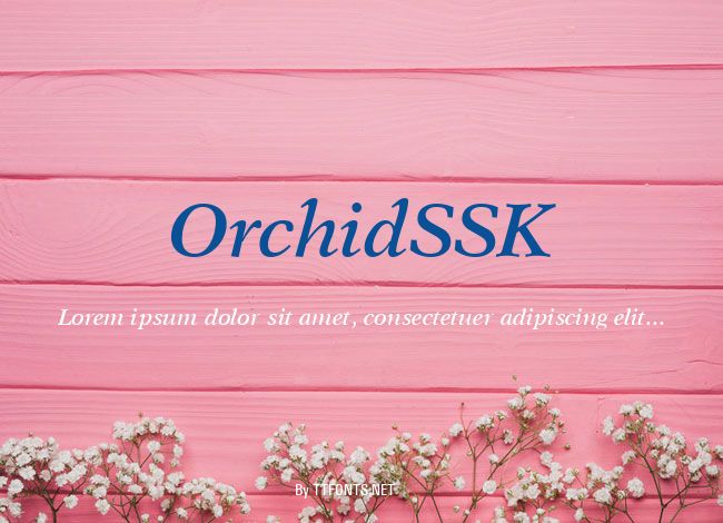 OrchidSSK example